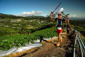 BIB: 123
                            <button type="button" onclick="openModal(19123513)" class="btn btn-primary btn-sm float-right btn-popup" data-toggle="modal" data-target=".modal-high-quality">
                        <i class="fas fa-shopping-cart"></i> Add to Cart
                    </button>
                                            <button type="button" onclick="isThisMe(19123513, true)" class="btn btn-success btn-sm float-right btn-popup btn-isme hidden" data-toggle="tooltip" data-placement="bottom" title="นี่คือรูปของคุณใช่ไหม คลิกที่นี่เพื่อเอาเข้าอัลบั้ม">
                        <i class="fas fa-plus"></i> Add to album
                    </button>
                    <button type="button" onclick="isThisMe(19123513, false)" class="btn btn-warning btn-sm float-right btn-popup btn-isnotme hidden">
                        <i class="fas fa-ban"></i> Remove from album
                    </button>